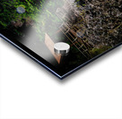 Victoria Park Waterfall Truro Nova Scotia Canada Acrylic print