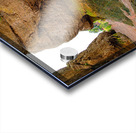 Low Tide Hopewell New Brunswick Canada Acrylic print