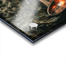 Street Musician Claude Berger Old Quebec City Canada Acrylic print