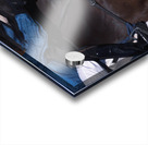 I Can See The Finish Line Assiniboia Downs Winnipeg Manitoba Canada Acrylic print