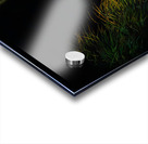 US Flag Fort Lauderdale Florida Impression Acrylique