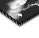 Chaput  8 Acrylic print