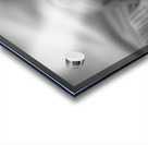 Twinkle in the eye Acrylic print