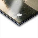 The Gang Of Goats Jasper Alberta Canada Acrylic print