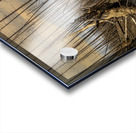 Destruction And Growth Jasper Alberta Canada Acrylic print