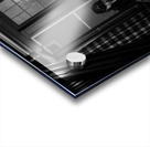 Kevin And Binny 147 Acrylic print