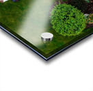 Kevin And Binny 173 Acrylic print