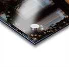 Kevin And Binny 222 Acrylic print