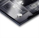 Kevin And Binny 157 Acrylic print