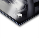 Kevin And Binny 170 Acrylic print