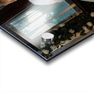 Kevin And Binny 247 Acrylic print