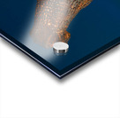 THE KELPIES FALKIRK SCOTLAND Acrylic print