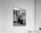 Found a Friend Winnipeg Manitoba Acrylic Print