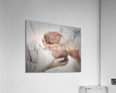 Twin Grandsons Acrylic Print