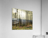 Flowers Blooming After The Jasper Alberta Canada Wild Fires Acrylic Print