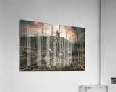 Wild Fires Whistler Campground In Jasper Alberta Canada Acrylic Print