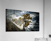 Watching Over Bow River Banff Alberta Canada Acrylic Print