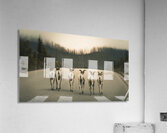 The Gang Of Goats Jasper Alberta Canada Acrylic Print