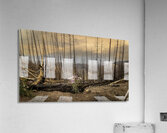 Destruction And Growth Jasper Alberta Canada Acrylic Print