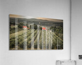 Cider Vinyard Ile d’Orleans Quebec Canada Acrylic Print