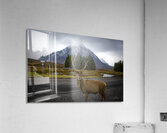 Buachaille Etive Mor Mountain Scotland UK Acrylic Print