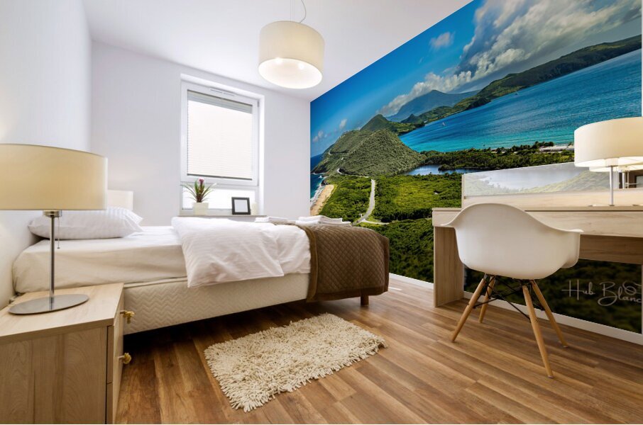 Timothy Hill Overlooking St.Kitts & Nevis Mural print