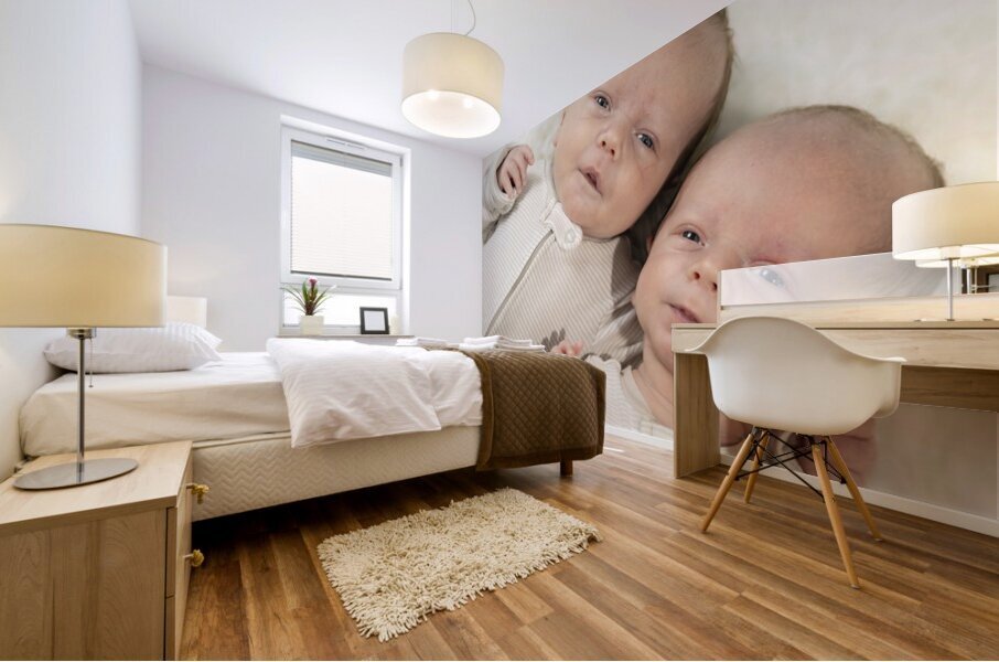 Fraternal Twin Boys Mural print