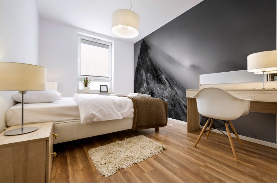 Rolling Fog in Rockies Alberta Canada Mural print