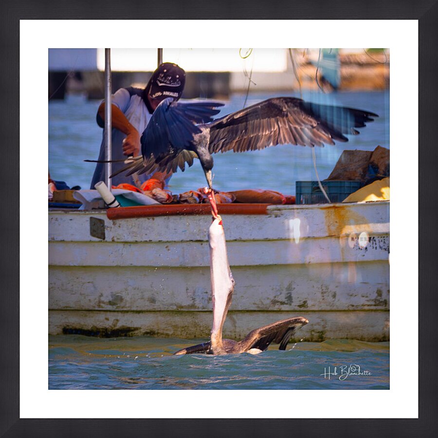 Daily Struggle Puerto Vallarta Picture Frame Printing