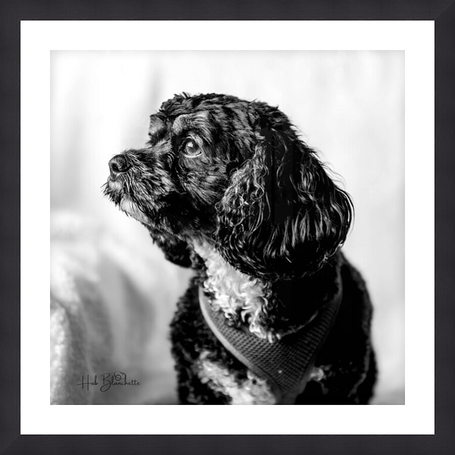 Little Daisy  Picture Frame Printing