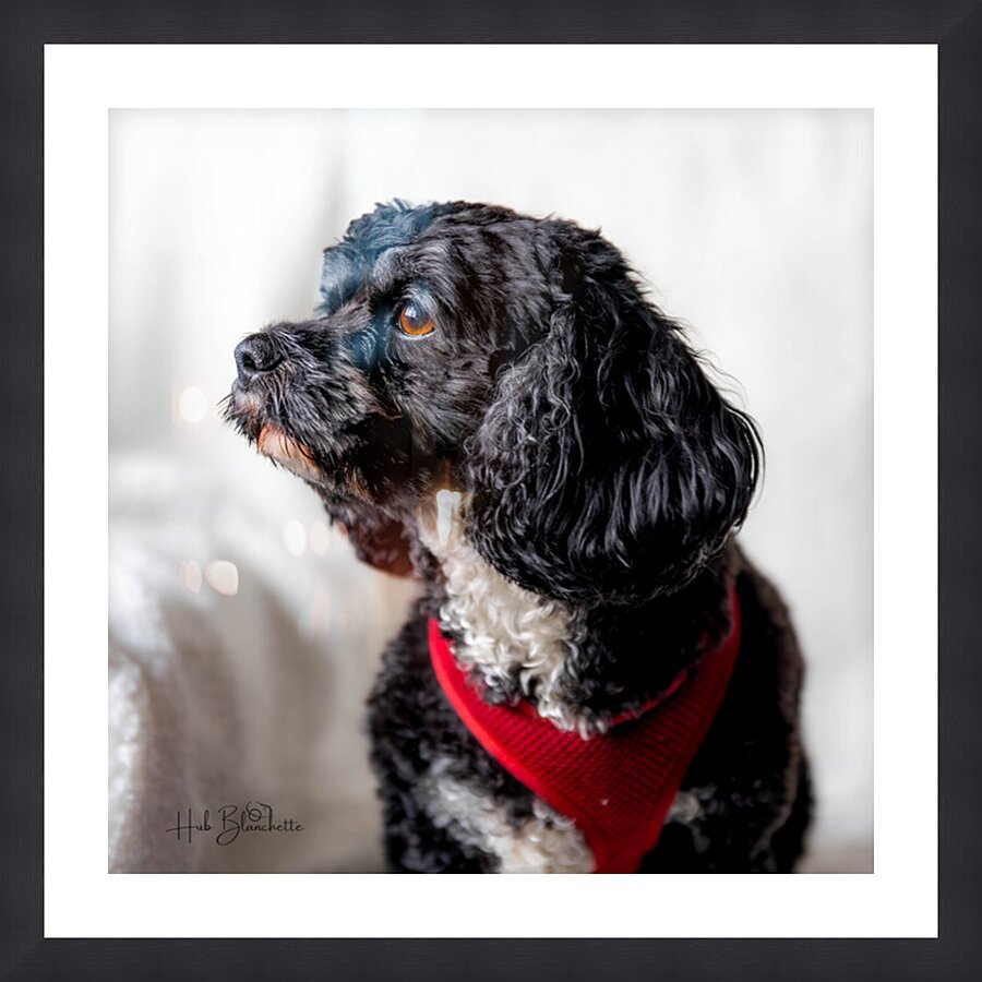 Little Daisy Picture Frame Printing