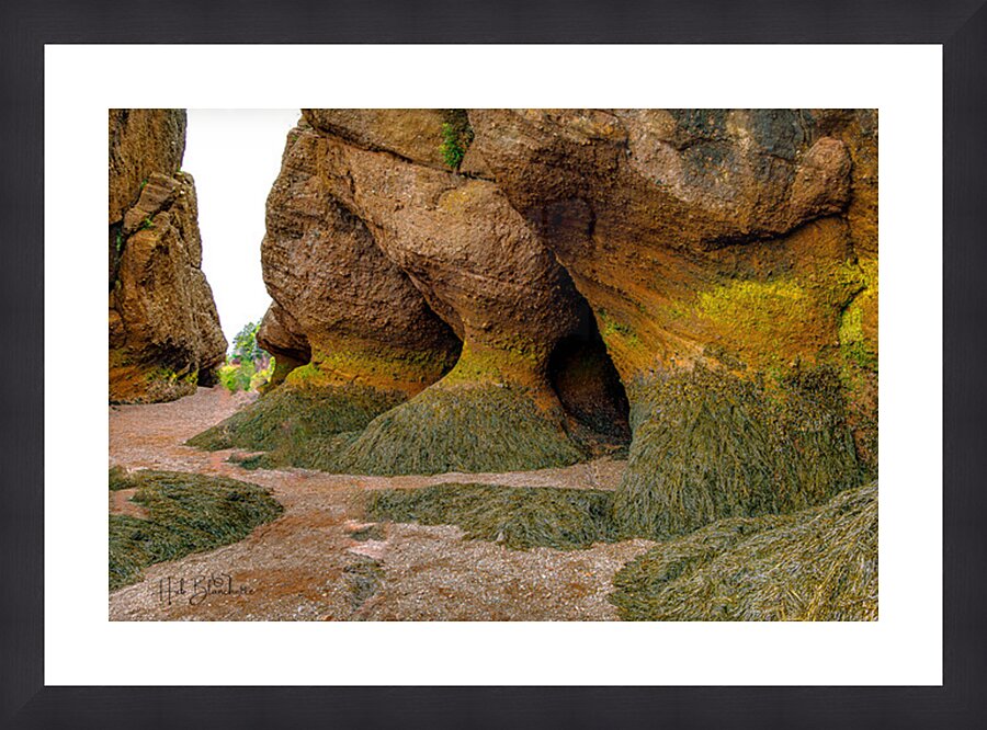 Low Tide Hopewell New Brunswick Canada Picture Frame Printing