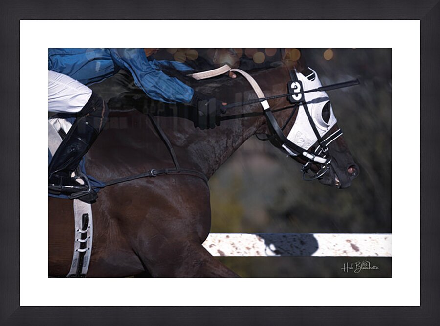 I Can See The Finish Line Assiniboia Downs Winnipeg Manitoba Canada Picture Frame Printing