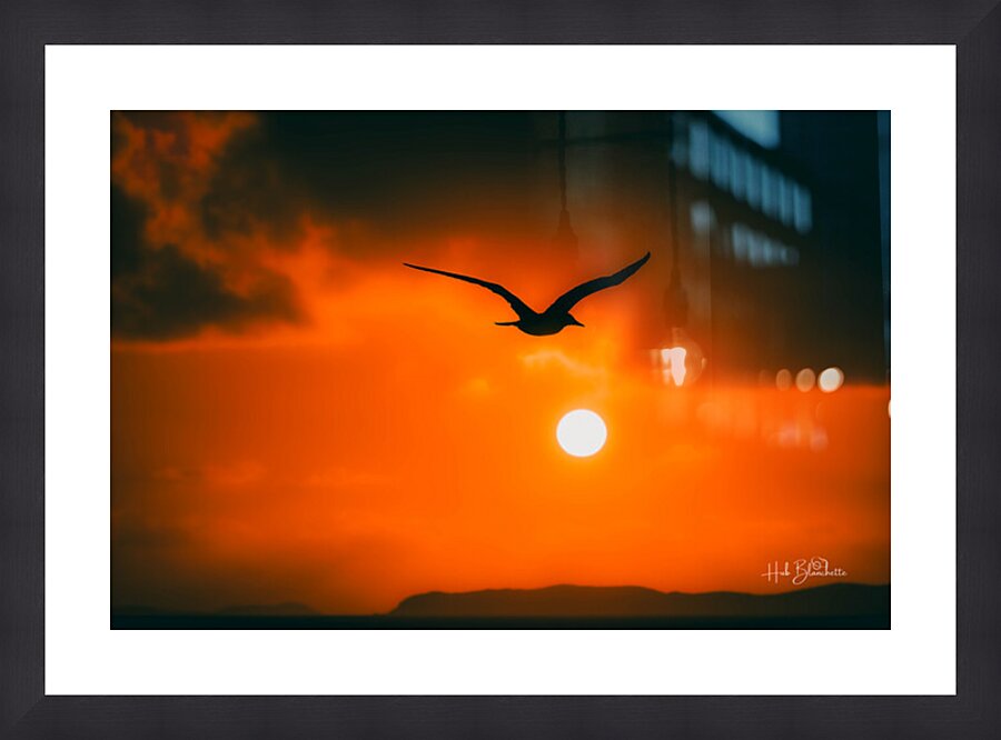 Sunrise While Approaching The United States Virgin Islands Cadre photo