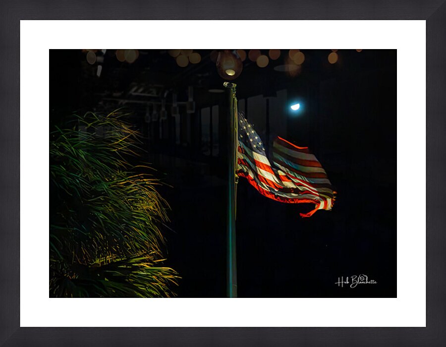 US Flag Fort Lauderdale Florida Cadre photo