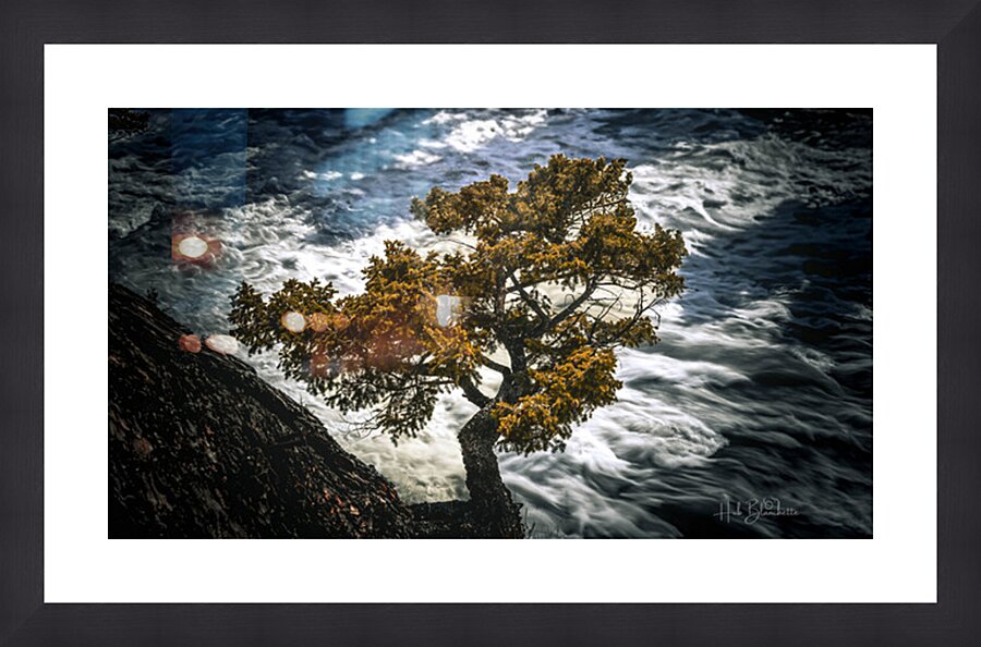 Watching Over Bow River Banff Alberta Canada Picture Frame Printing