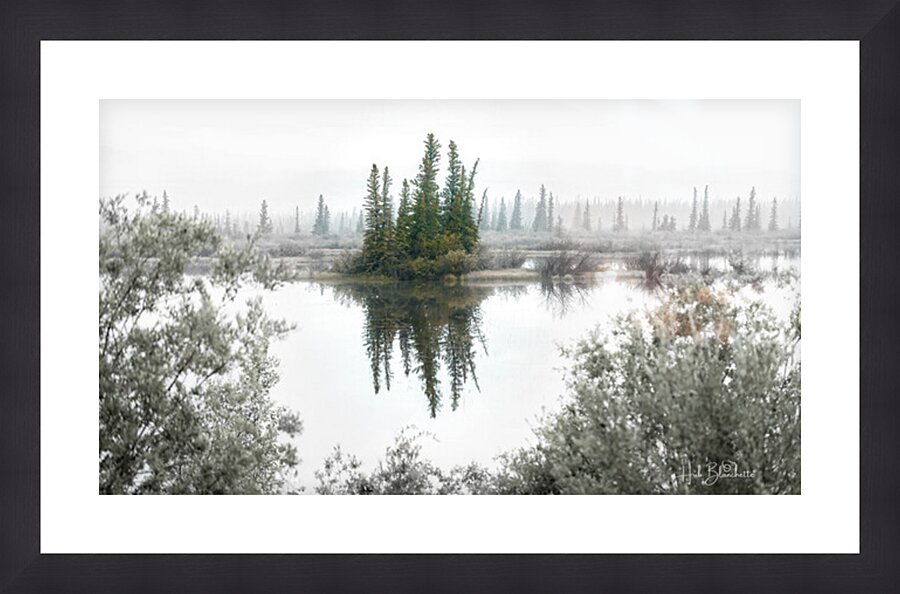 Foggy Eerie Morning in Jasper Alberta Canada  Picture Frame Printing
