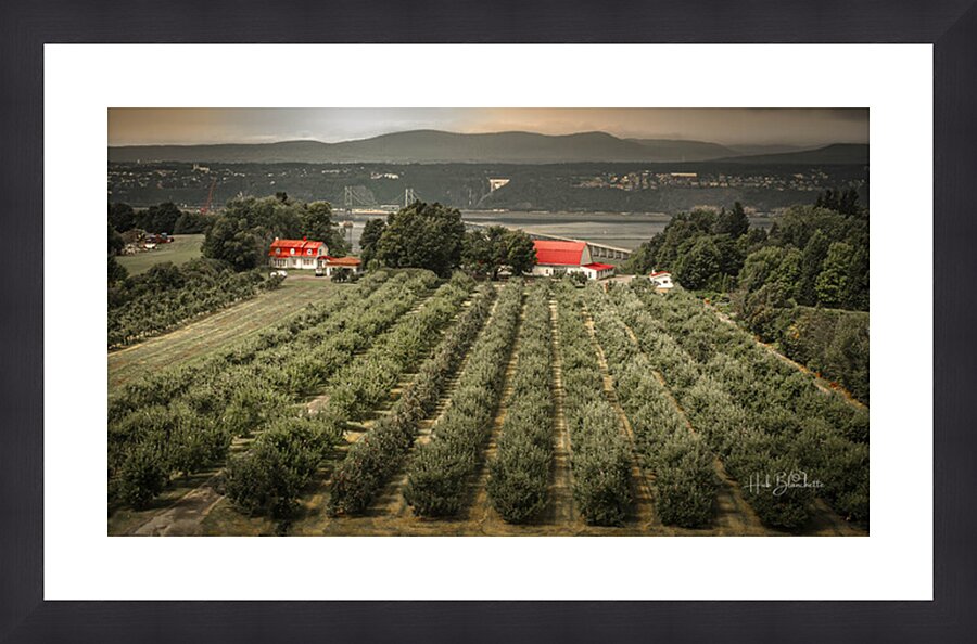 Cider Vinyard Ile d’Orleans Quebec Canada Picture Frame Printing