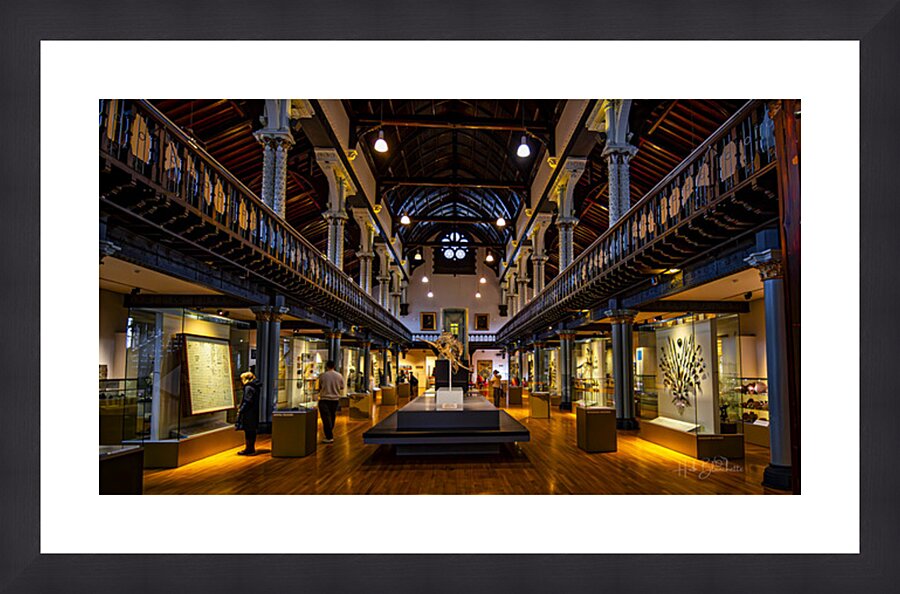Hunterian Museum The Great Hall Glasgow Scotland UK Picture Frame Printing
