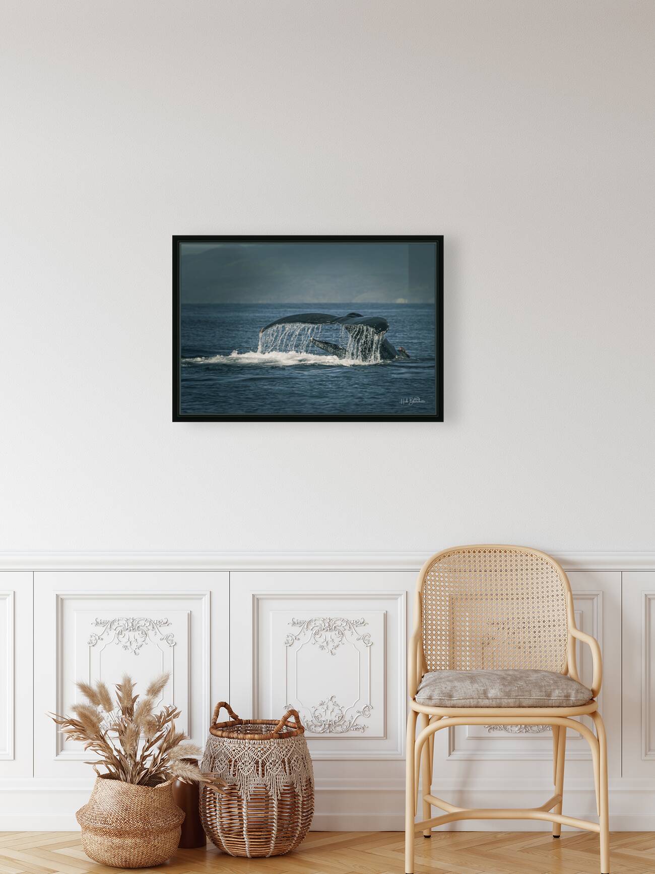 Flukes Whale Tail Puerto Vallarta Mexico Reproduction