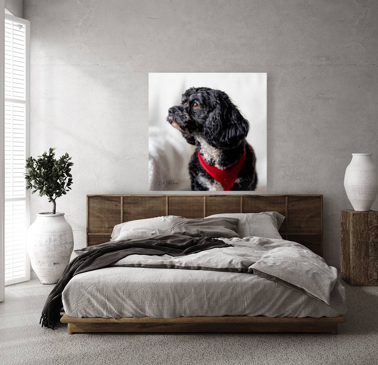 Little Daisy Reproduction