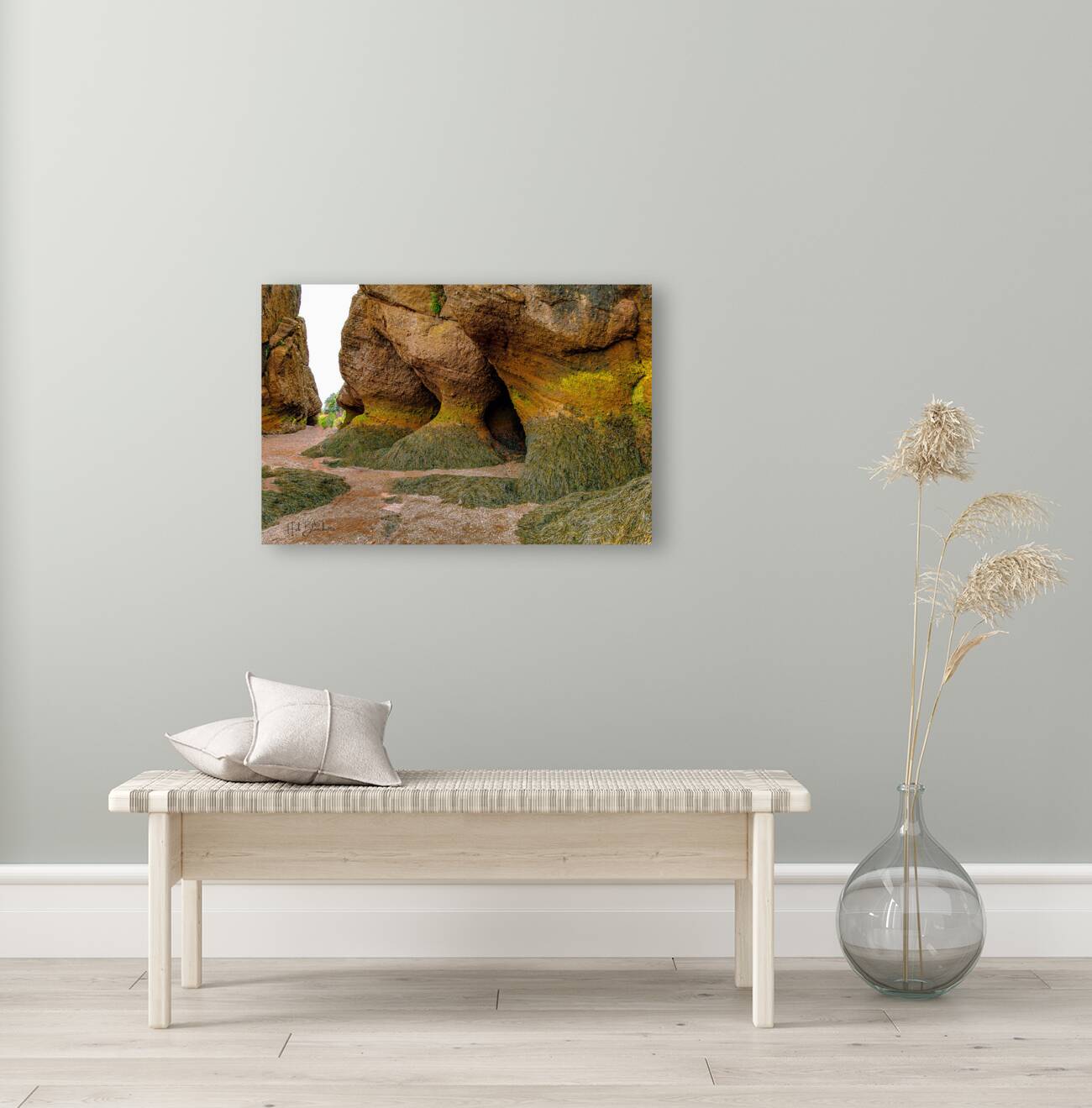 Low Tide Hopewell New Brunswick Canada Reproduction