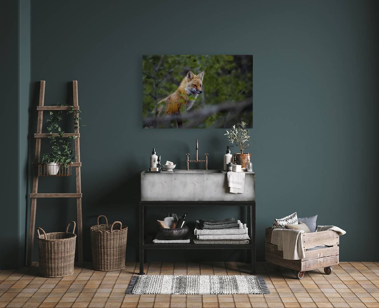 Fearless Red Fox In Cottage Country Manitoba Canada Reproduction