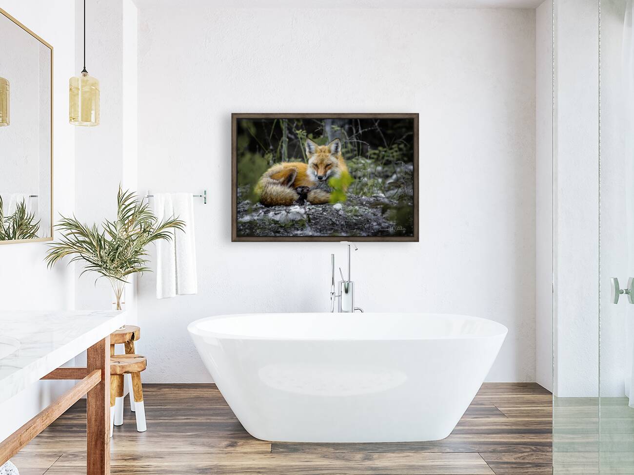 Sleepy Red Fox In Rural Manitoba Canada Reproduction