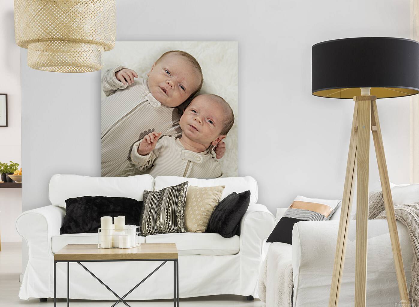 Fraternal Twin Boys Reproduction