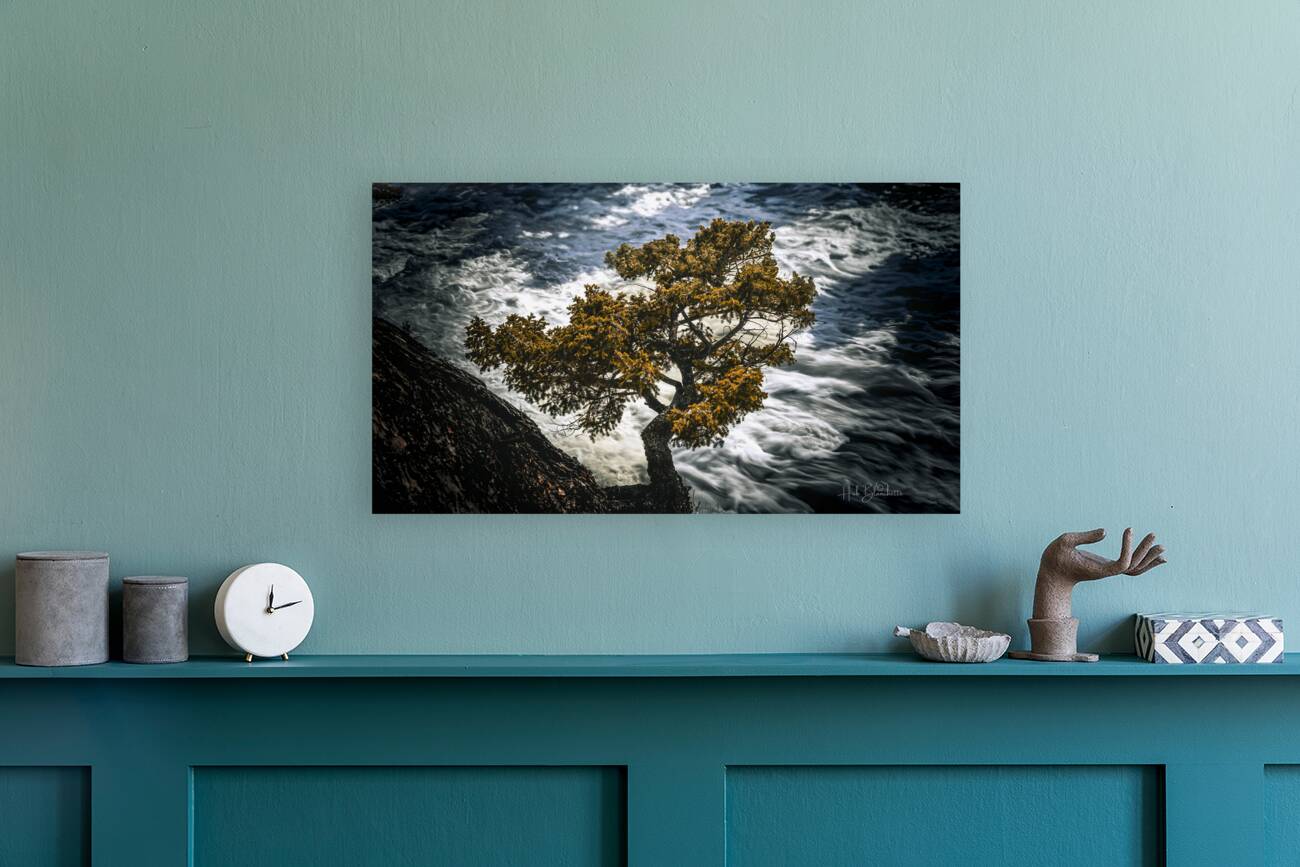 Watching Over Bow River Banff Alberta Canada Reproduction