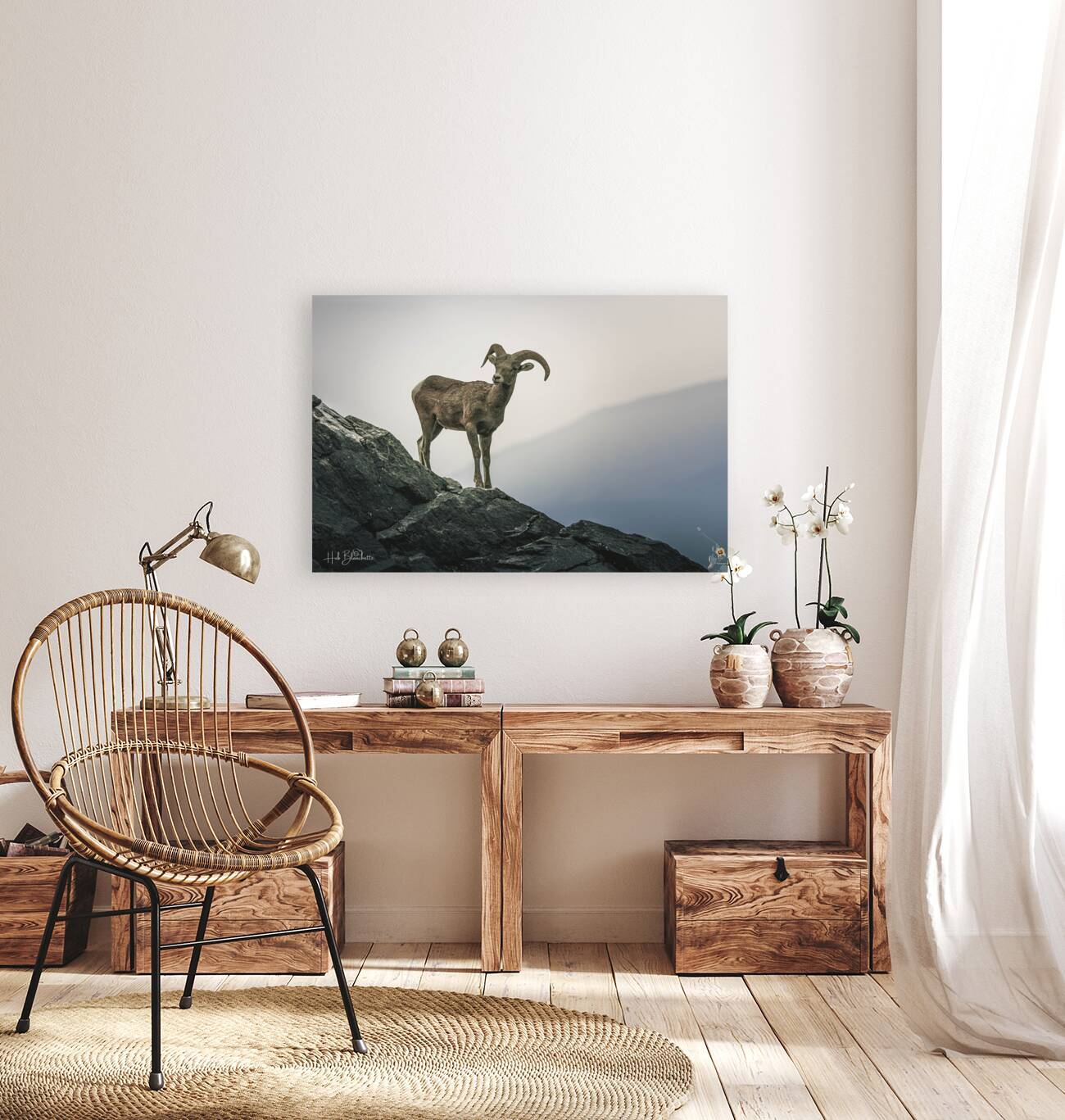 Mountain Goat Jasper Alberta Canada Reproduction