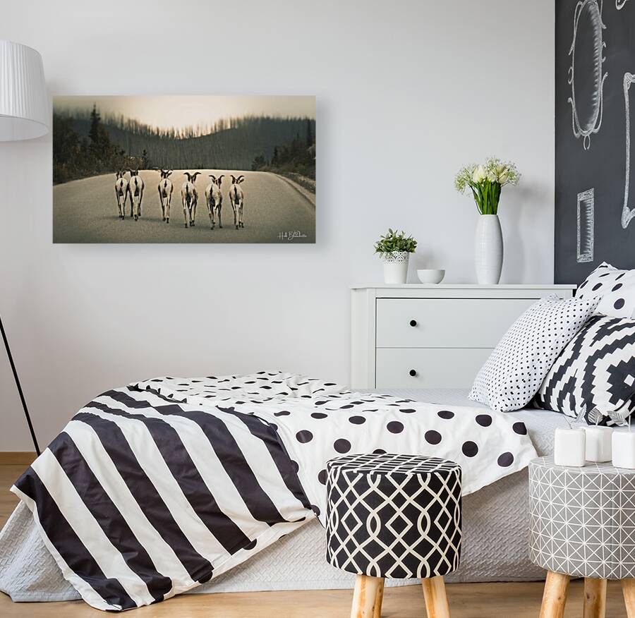 The Gang Of Goats Jasper Alberta Canada Reproduction