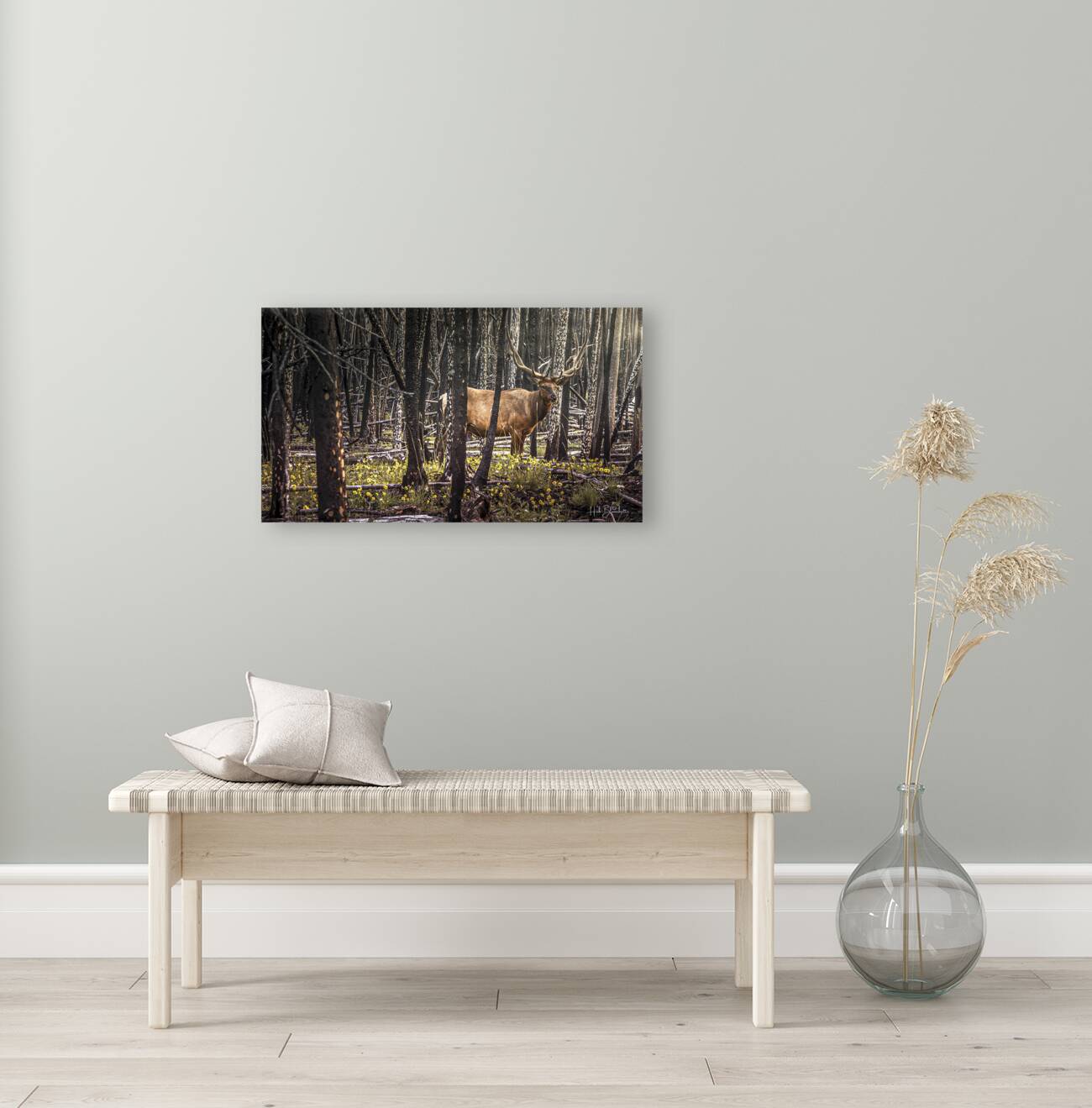 Elk Enjoying The New Flowers After The Wildfires Jasper Alberta Canada Reproduction