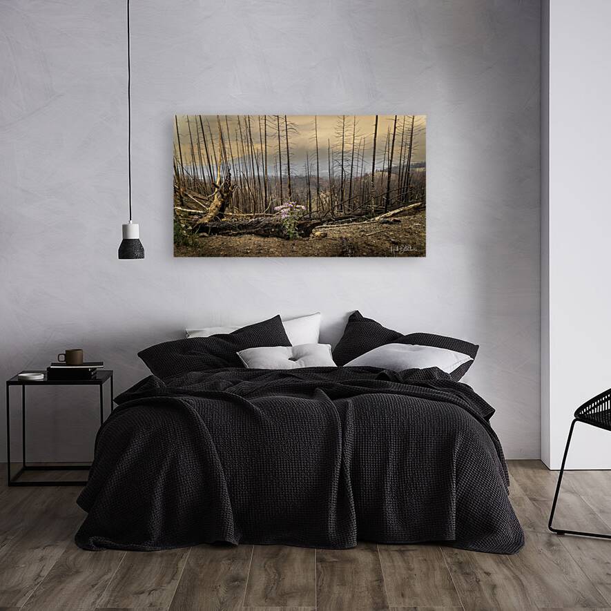 Destruction And Growth Jasper Alberta Canada Reproduction